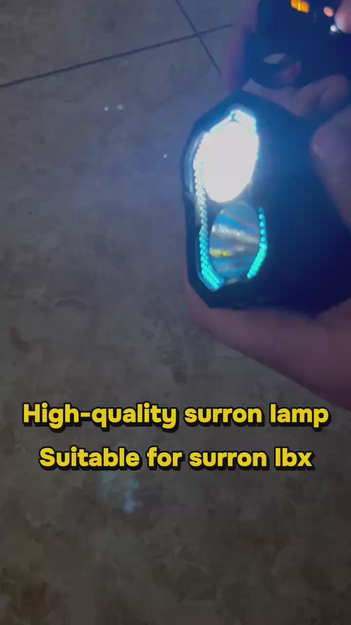 Light bee light